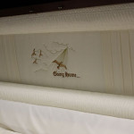 Going-Home-Panel-Detail-530